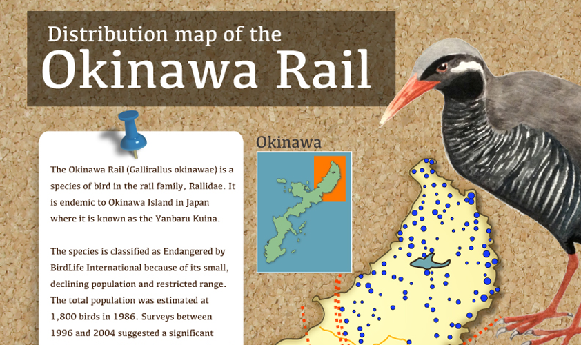 Okinawa Rail (Watercolor and Photoshop, 2012)